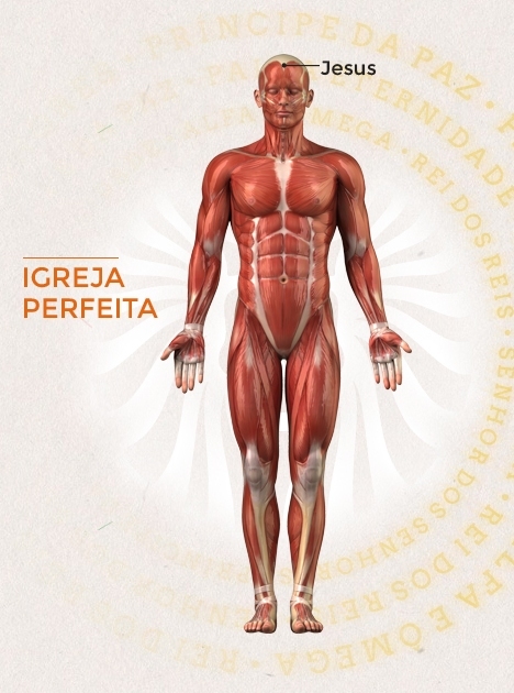 corpo igreja perfeita